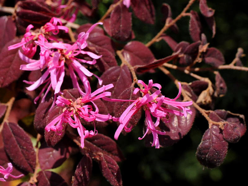 %_tempFileName08-20110505-0815%