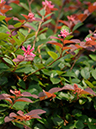 %_tempFileName04-20070923-0191%