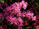 %_tempFileName07-20100503-0240%