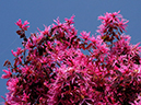 %_tempFileName09-20110505-0816%