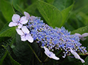 %_tempFileName02-20080622-0228%