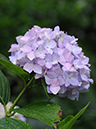 %_tempFileName03-20080622-0229%