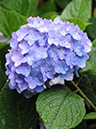 %_tempFileName04-20080622-0230%