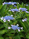 %_tempFileName05-20080622-0232%