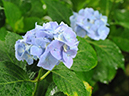 %_tempFileName07-20080622-0233%