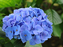 %_tempFileName08-20090628-0367%