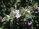 %_tempFileName01-20080506-0259%