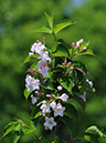 %_tempFileName02-20080506-0260%