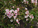 %_tempFileName03-20090503-0044%