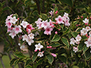 %_tempFileName04-20090503-0045%