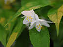 %_tempFileName09-20110505-0627%