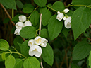 %_tempFileName10-20120603-0419%