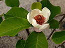%_tempFileName01-20120603-0327%