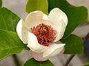 %_tempFileName02-20120603-0329%
