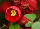%_tempFileName01-20060416-0278%