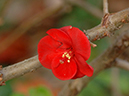%_tempFileName02-20051127-0508%