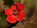 %_tempFileName05-20071125-0159%