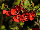 %_tempFileName06-20090329-0305%