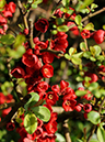 %_tempFileName09-20100404-0023%