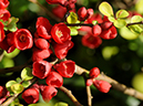 %_tempFileName10-20100404-0024%
