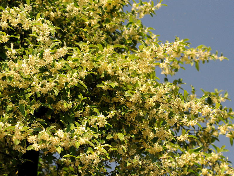 %_tempFileName01-20080506-0223%