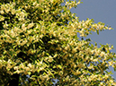 %_tempFileName01-20080506-0223%