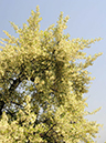 %_tempFileName02-20080506-0224%