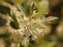 %_tempFileName03-20080506-0225%