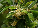 %_tempFileName05-20090506-0236%
