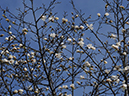 %_tempFileName01-20100404-0020%