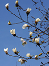 %_tempFileName02-20100404-0026%