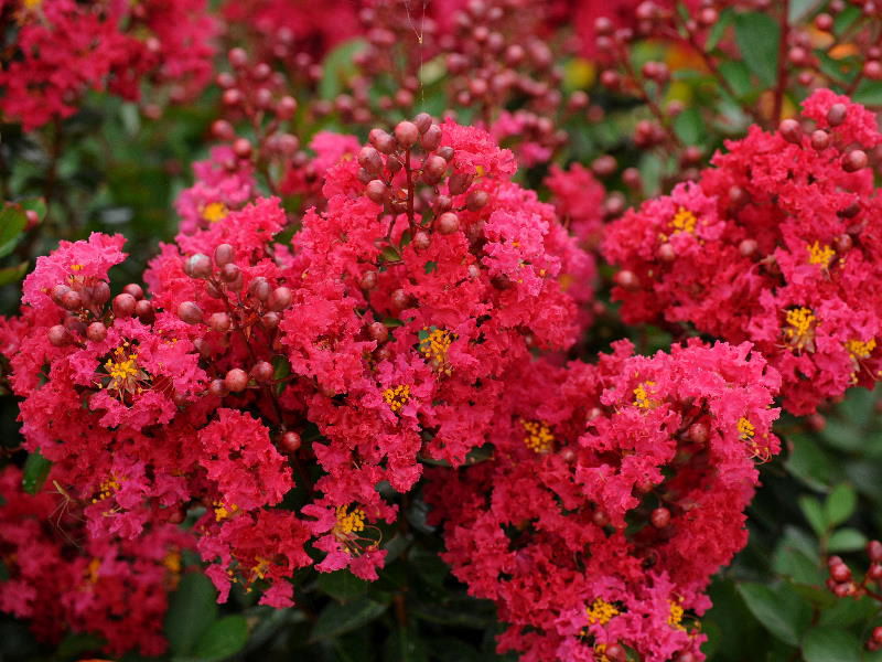%_tempFileName04-20090718-0460%