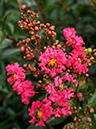 %_tempFileName03-20090628-0359%