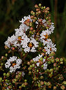 %_tempFileName05-20090711-0258%