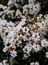 %_tempFileName06-20090718-0458%