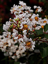 %_tempFileName07-20100731-0233%