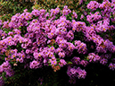 %_tempFileName10-20100731-0229%