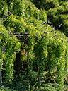 %_tempFileName03-20051009-0257%