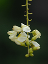 %_tempFileName04-20070923-0153%