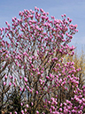 %_tempFileName01-20100404-0471%