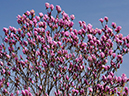 %_tempFileName02-20100404-0474%