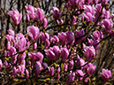 %_tempFileName03-20100404-0475%