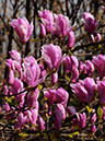 %_tempFileName04-20100404-0475%