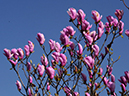 %_tempFileName05-20100404-0476%