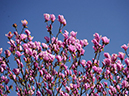 %_tempFileName08-20100404-0483%