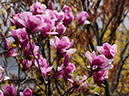 %_tempFileName09-20110409-0331%