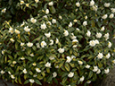 %_tempFileName01-20090320-0243%