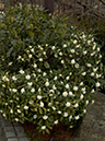 %_tempFileName04-20070310-0536%