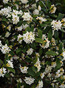 %_tempFileName05-20090320-0243%
