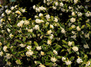 %_tempFileName06-20090329-0324%